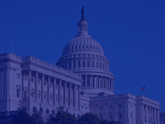 Government